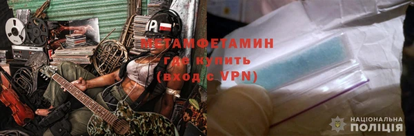 сатива Новокубанск